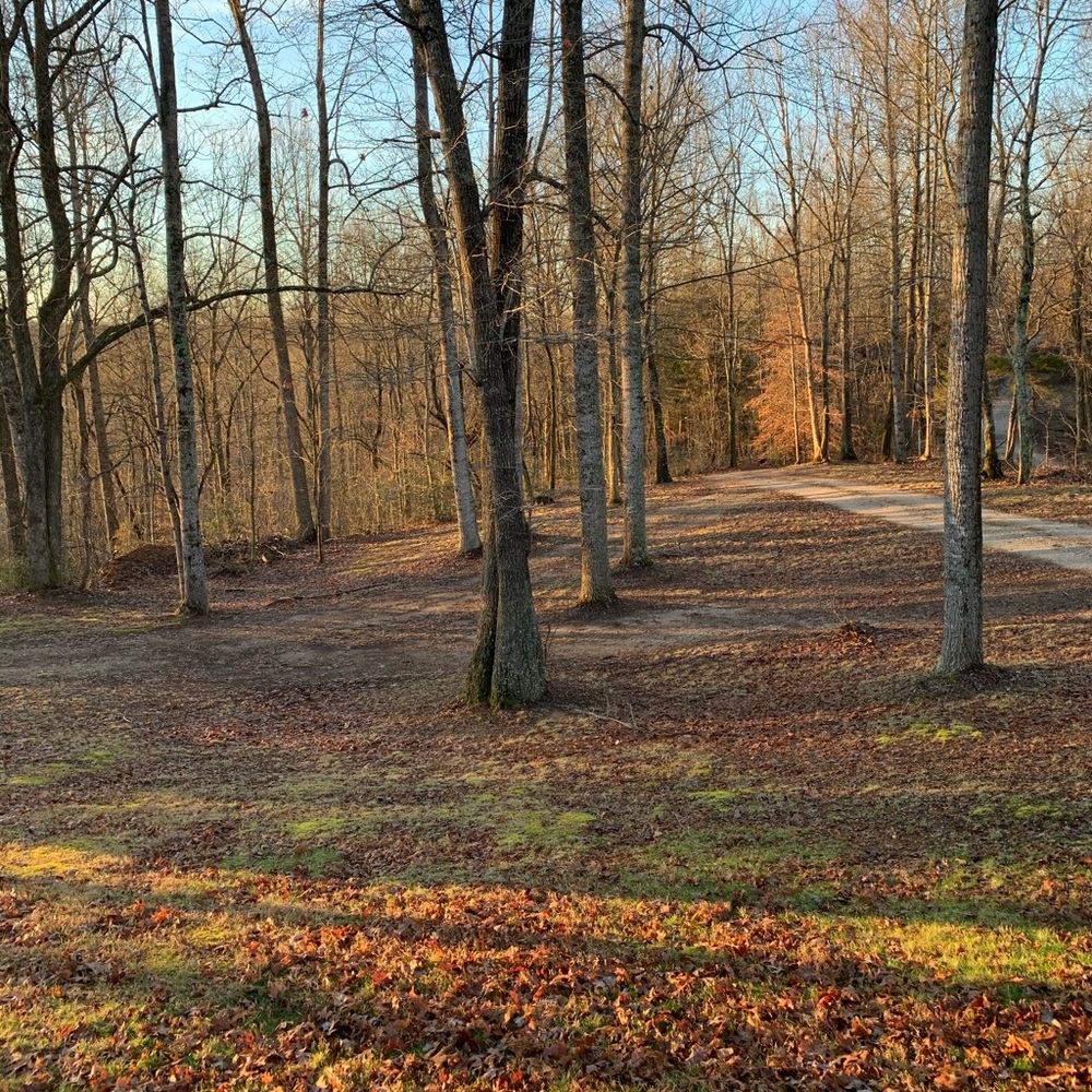 Not for sale ! Blow out SALE going on now !!!